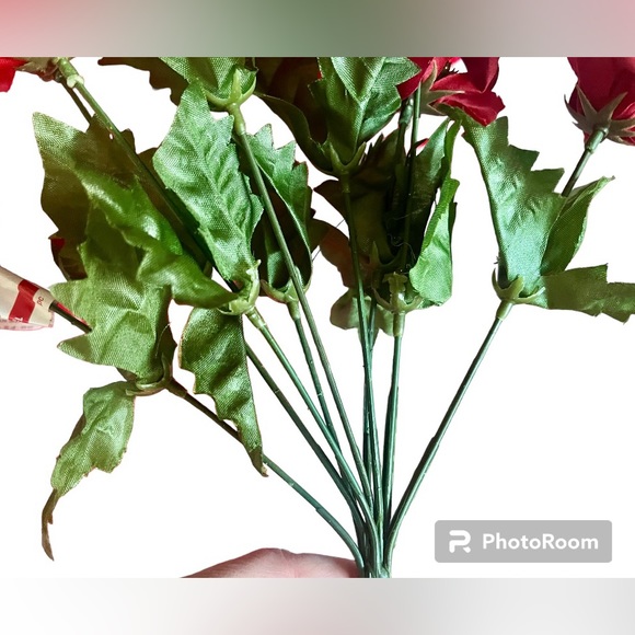 1 poinsettias red plant Christmas - Picture 2 of 13